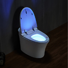 ARROW AKB1303M Modern Smart Toilet , Tankless Water Closet Floor Mounted P Trap Wc